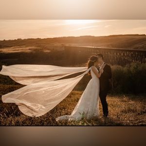 tulle Bridal wings veil cape
